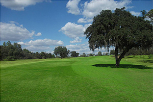 Marion Oaks Country Club Image
