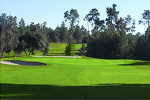 Marion Oaks Country Club Image